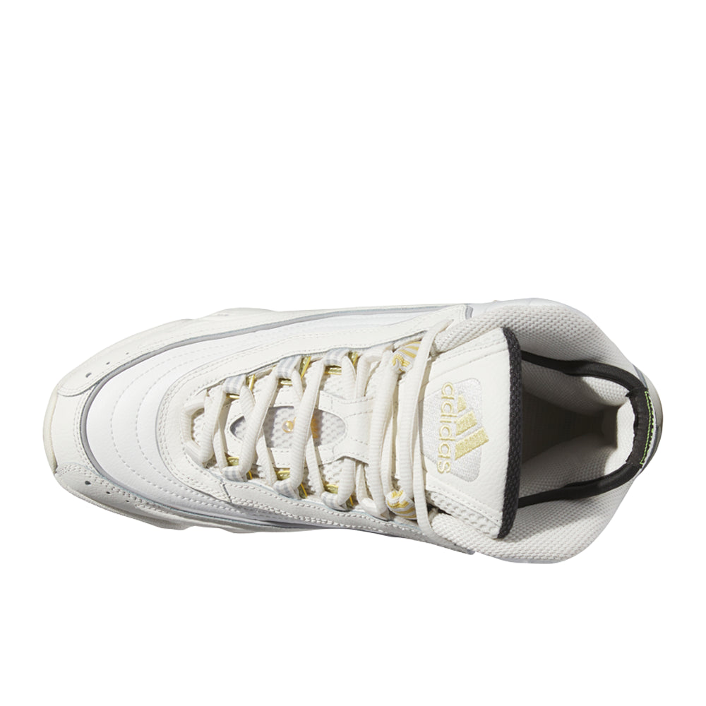 Crazy 98 Shoes