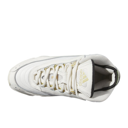 Crazy 98 Shoes