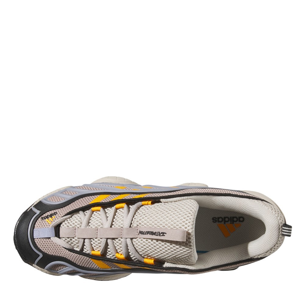 Intimidation Low Shoes