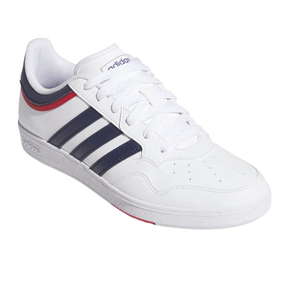 Hoops 4.0 Shoes